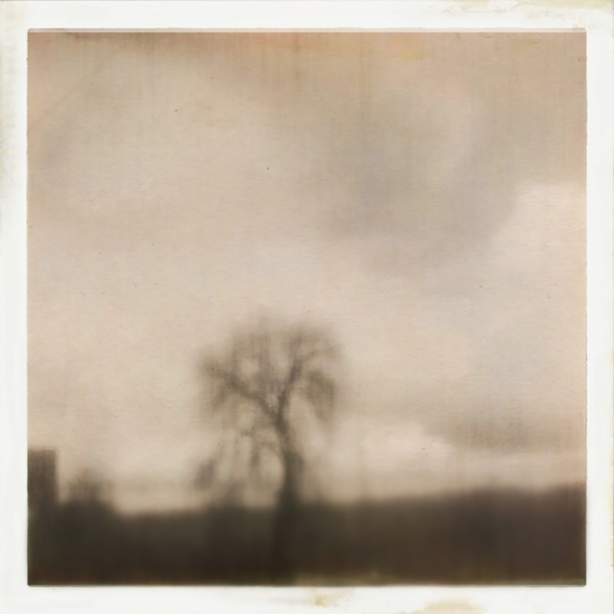 Mariel Vidal - 26arbol